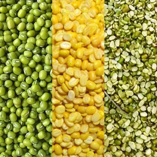 Green beans