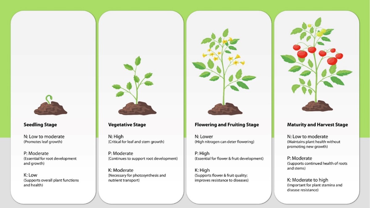 Effect on Plants